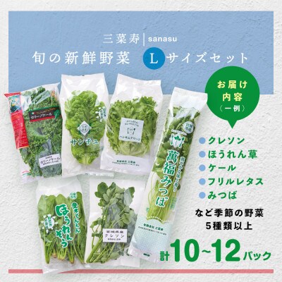 旬の新鮮野菜セット Lサイズ(5種類以上/10～12パック)