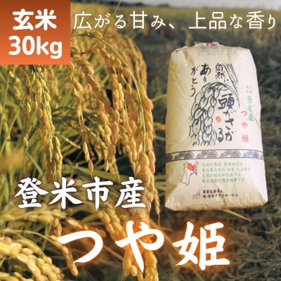 令和7年産　宮城県登米市産つや姫(玄米)30kg
