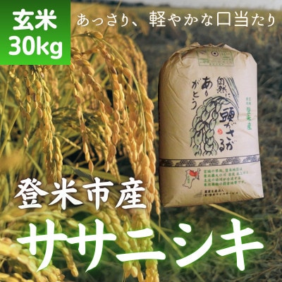 令和7年産　宮城県登米市産ササニシキ(玄米)30kg
