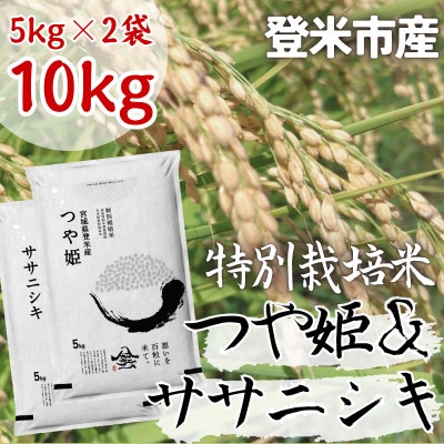 【特別栽培米】宮城県登米市産ササニシキ・つや姫精米各5kg(計10kg)