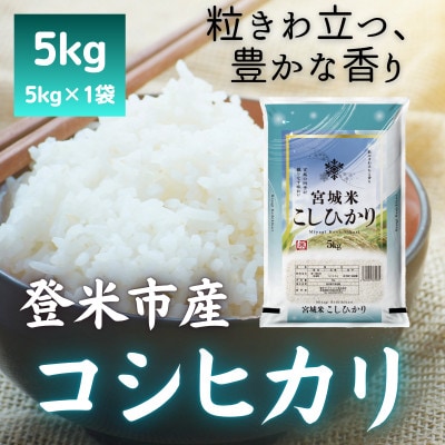 令和7年産　宮城県登米市産コシヒカリ(精米)5kg
