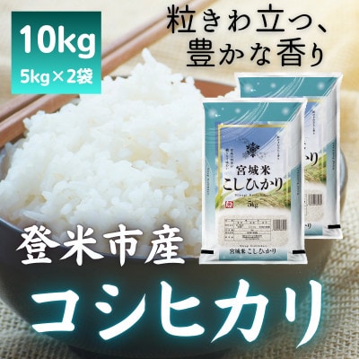 令和7年産　宮城県登米市産コシヒカリ(精米)5kg×2袋セット