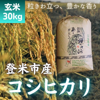 【令和7年産　宮城県登米市産】コシヒカリ(玄米)30kg