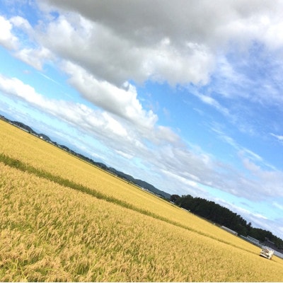 【令和7年産　宮城県登米市産】コシヒカリ(玄米)30kg