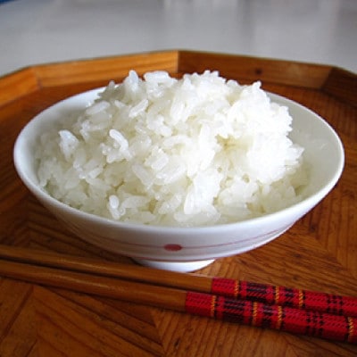 【毎月定期便】宮城県登米市産 つや姫(精米) 5kg×2袋セット全4回