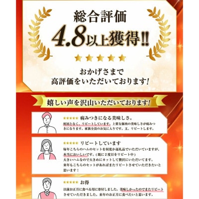 【ふるさと納税】 人気のハム2種セット 計1.22kg  贈答 ギフト 日本ハム 宴の彩り