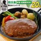 【ふるさと納税】非常食 5年保存 防災食 煮込み ハンバーグ 115g×20個 長期保存 日本ハム