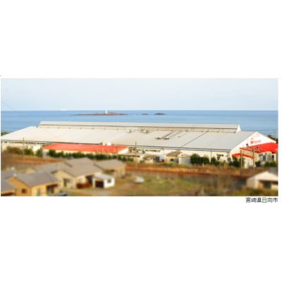 チキン南蛮 (鶏から揚げ240g+別添ソース50g)×6パック