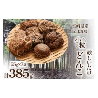 宮崎県産 原木栽培 乾しいたけ　小粒どんこ　55g×7袋　計385g