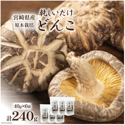 宮崎県産 原木栽培 乾しいたけ どんこ 40g×6袋 計240g