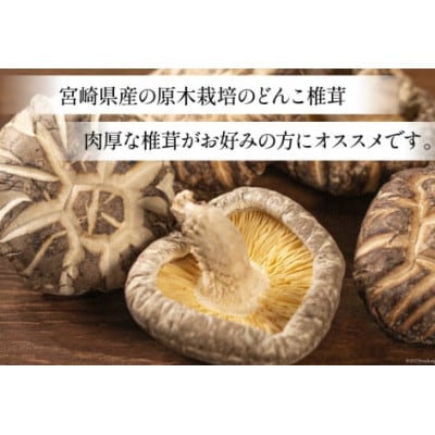 宮崎県産 原木栽培 乾しいたけ どんこ 40g×6袋 計240g