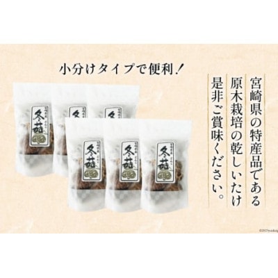 宮崎県産 原木栽培 乾しいたけ どんこ 40g×6袋 計240g