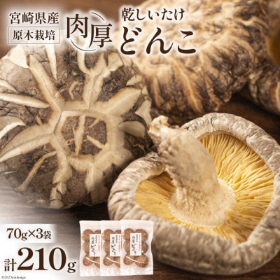 宮崎県産 原木栽培 乾しいたけ 肉厚 どんこ 70g×3袋 計210g