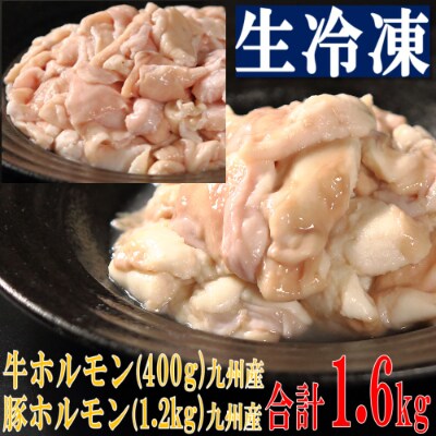 牛ホルモン 豚ホルモン 生 冷凍 1 6kgセット お礼品詳細 ふるさと納税なら さとふる