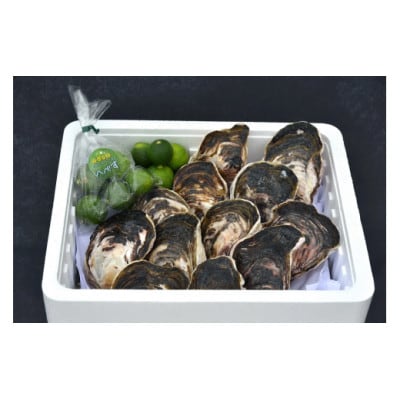 細島 岩がき 約4kg 日向特産 へべす 500g セット