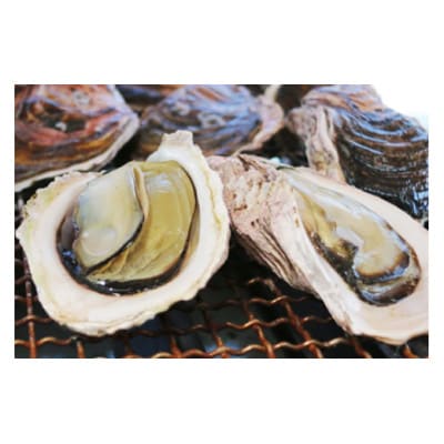 細島 岩がき 約3.5kg