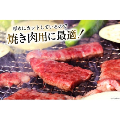 【毎月定期便】訳あり 宮崎和牛切り落とし焼肉600g 総計1.8kg全3回