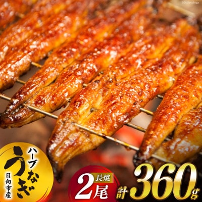 宮崎県日向市産　鰻楽ハーブうなぎ蒲焼2尾(計360g)