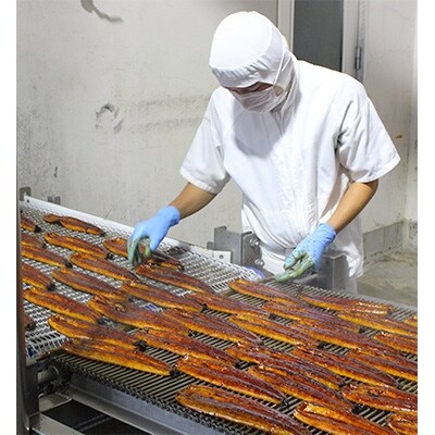 宮崎県日向市産 鰻楽ハーブうなぎ蒲焼2尾(計360g)