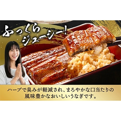 宮崎県日向市産　鰻楽ハーブうなぎ蒲焼4尾(計800g)