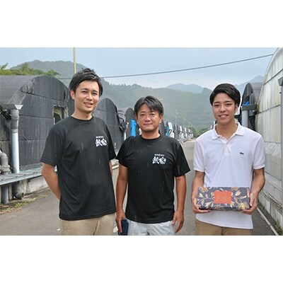 2020年1月発送開始『定期便』宮崎県日向市産 鰻楽ハーブうなぎ蒲焼2尾(計320g)全3回