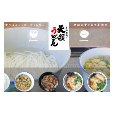 天領うどん ふるさとセット