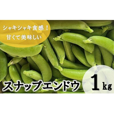 【期間限定発送】 野菜 スナップエンドウ 約1kg