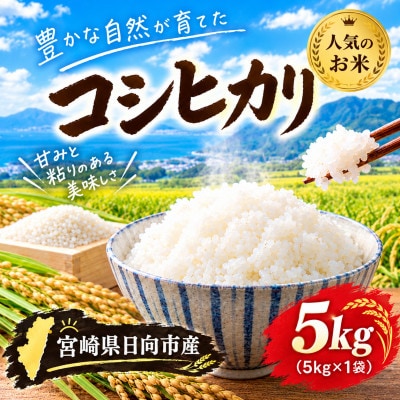 宮崎県産 コシヒカリ 5kg