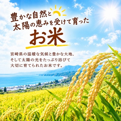 宮崎県産 コシヒカリ 5kg