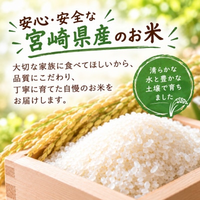 宮崎県産 コシヒカリ 5kg