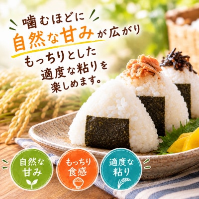 宮崎県産 コシヒカリ 5kg
