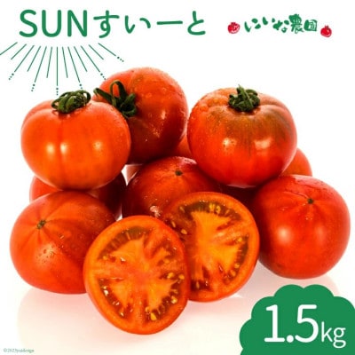 【期間限定発送】トマト SUNすいーと 1.5kg×1箱