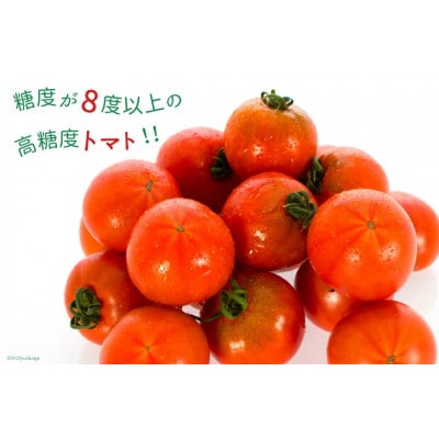 【期間限定発送】トマト SUNすいーと 1.5kg×1箱
