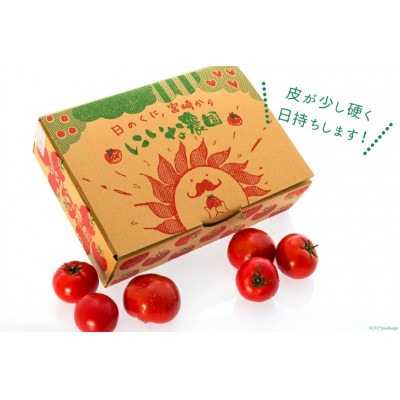 【期間限定発送】トマト SUNすいーと 1.5kg×1箱