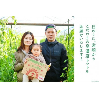 【期間限定発送】トマト SUNすいーと 1.5kg×1箱