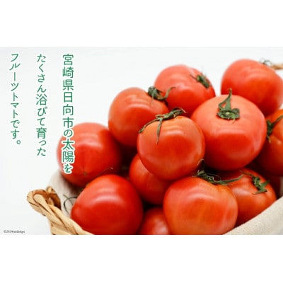 【期間限定発送】訳あり トマト SUNすいーと 1kg×2箱