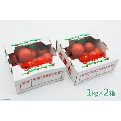【期間限定発送】訳あり トマト SUNすいーと 1kg×2箱