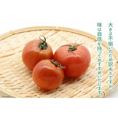 【期間限定発送】訳あり トマト SUNすいーと 1kg×2箱