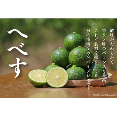 へべす香る 日向ひょっとこ踊り寿司～すし源特製 海鮮ちらし寿司～(1～2人前)