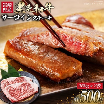 宮崎県産黒毛和牛サーロインステーキ(250g×2枚)計500g