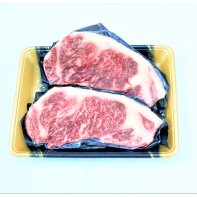 宮崎県産黒毛和牛サーロインステーキ(250g×2枚)計500g