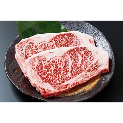 宮崎県産黒毛和牛サーロインステーキ(250g×2枚)計500g