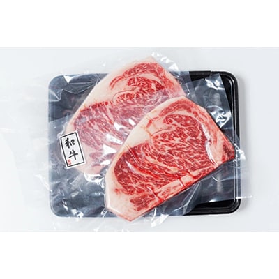 宮崎県産黒毛和牛サーロインステーキ(250g×2枚)計500g