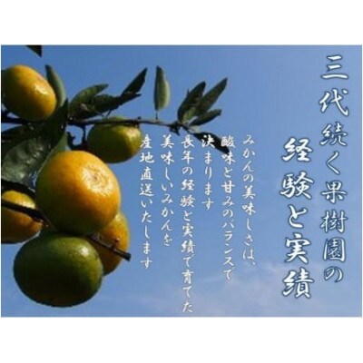 温州みかん3kg