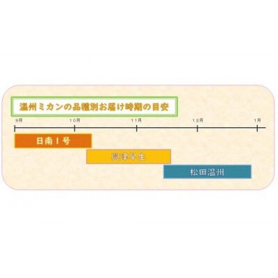 温州みかん3kg