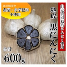 自家製 熟成 黒にんにく(200g×3袋)《国産・自家農園栽培・栽培期間中農薬・化学肥料不使用》