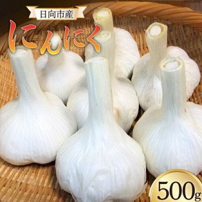 【期間限定発送】 にんにく 国産 500g
