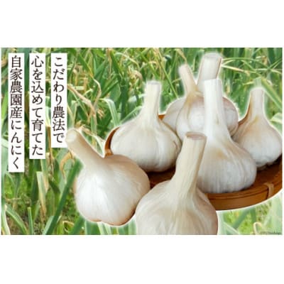 【期間限定発送】 にんにく 国産 500g