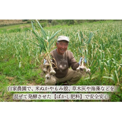 【期間限定発送】 にんにく 国産 500g