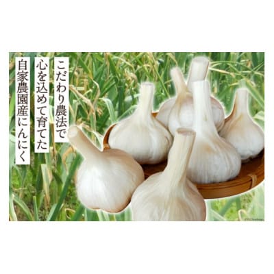 【期間限定発送】 にんにく 国産 1kg